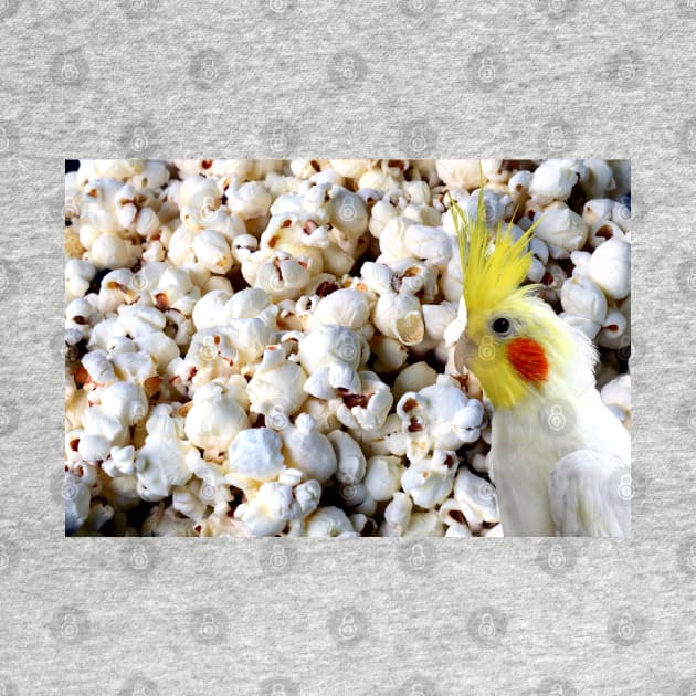 popcorn cockatiel by FandomizedRose